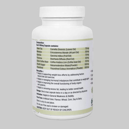 FAT GO Capsules – Weight Management & Belly Fat Support